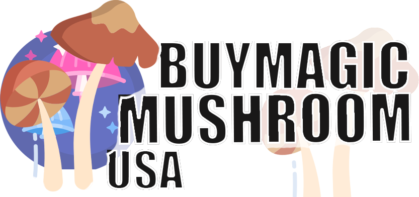 buymagicmushroomusa.com